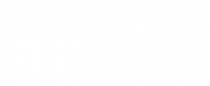 Longhorn Reels LOGO